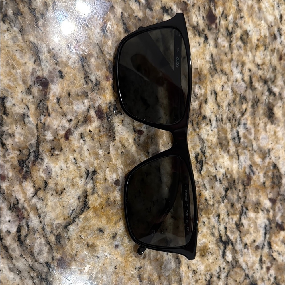 Zeiss Sleek Black Rectangular Sunglasses